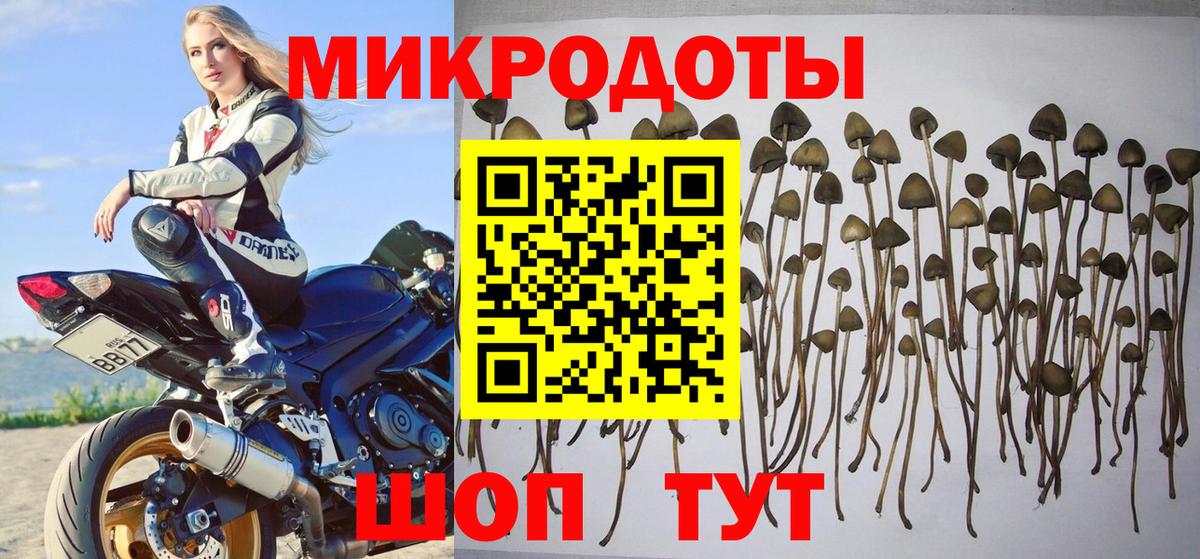 Галлюциногенные грибы мухоморы Саянск