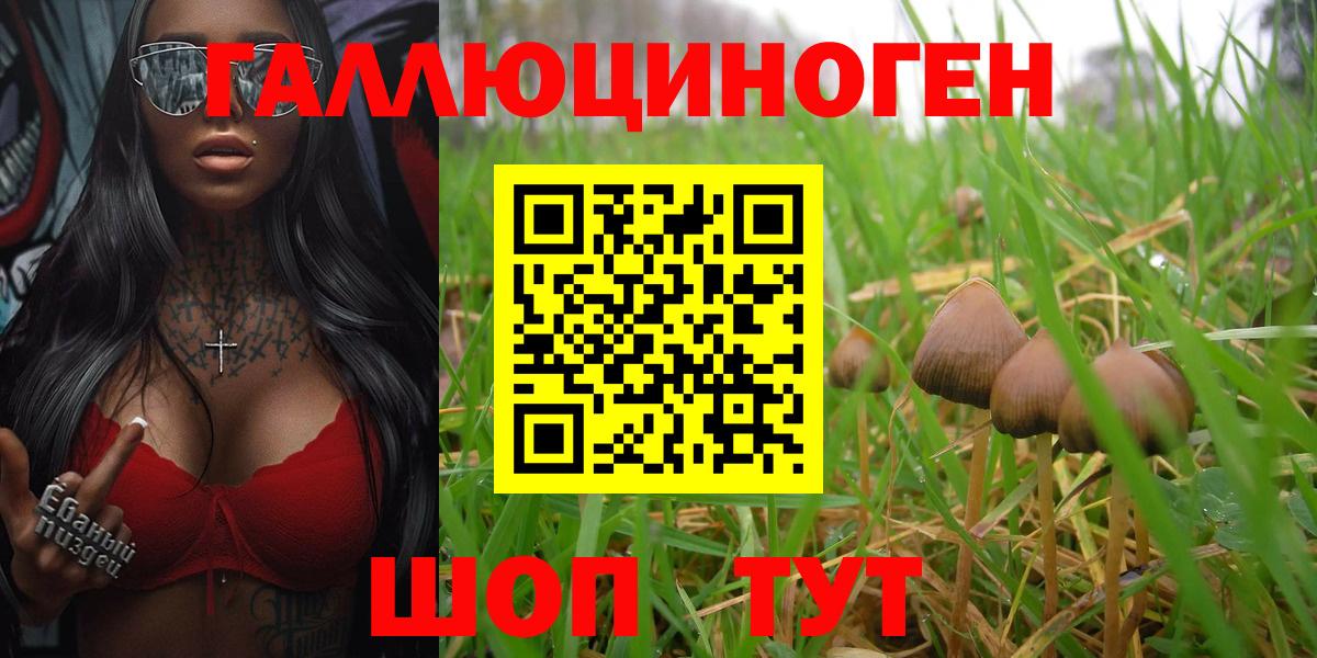 Саянск  Галлюциногенные грибы GOLDEN TEACHER  Вход с VPN  Псилоцибиновые грибы Psilocybine cubensis 