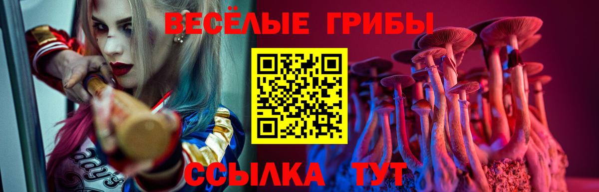 COCAIN  ЭКСТАЗИ  МЕТ  МЕФ кристаллы  ГАШ  ГАШИШ  Вход с VPN  Саянск  Конопля  Alpha-PVP СК  